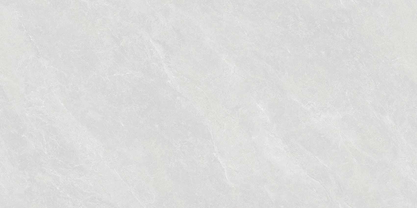 羅德里戈淺灰Y640809