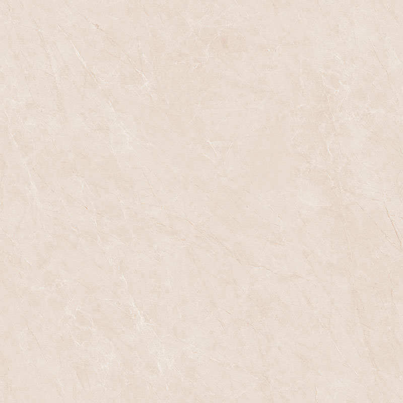 Y81220
