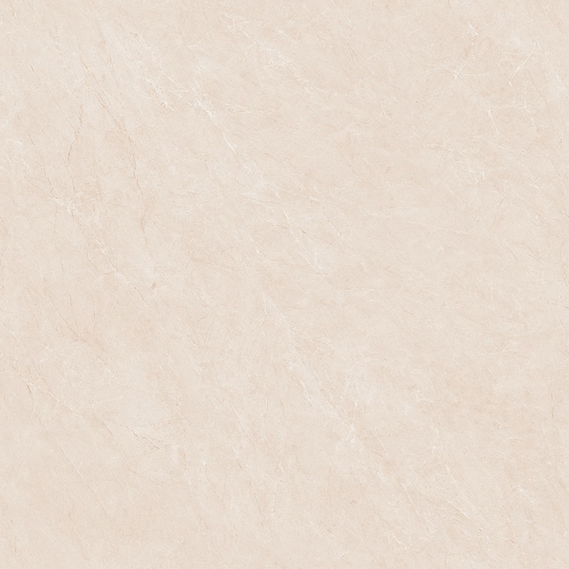Y81220