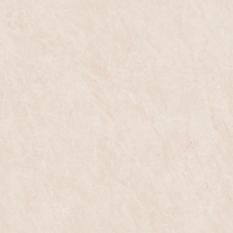 Y81220