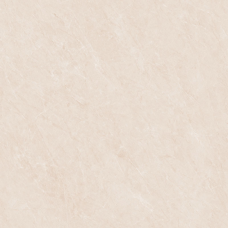 Y81220