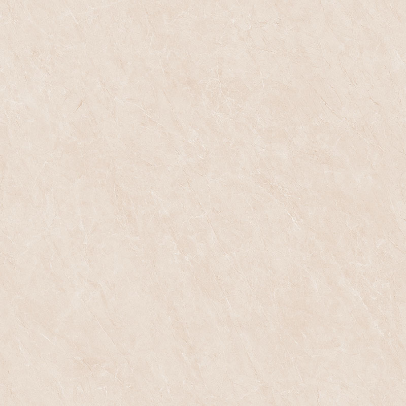 Y81220