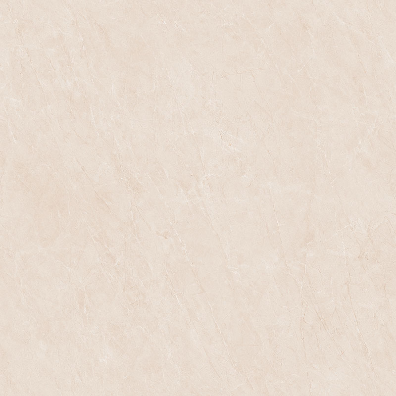 Y81220
